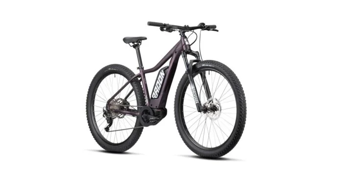 Radon ZR Lady Hybrid CX 500 – Bild 9